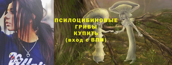 твердый Алексин