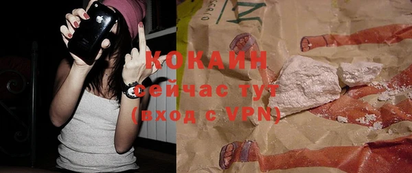 твердый Алексин