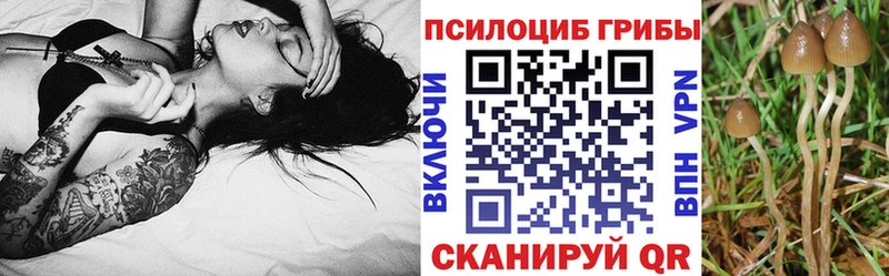 Псилоцибиновые грибы прущие грибы  где купить наркотик  Ярцево 