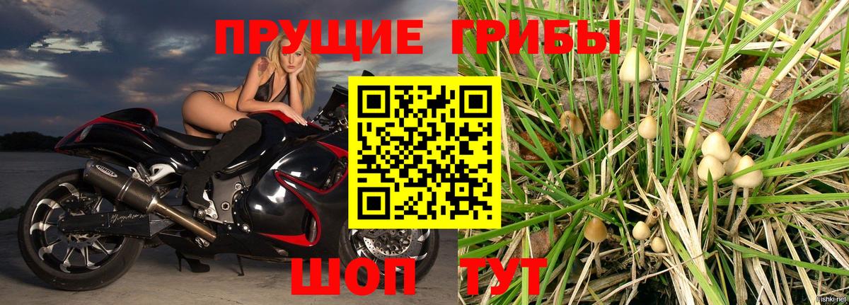 Галлюциногенные грибы Psilocybe Ярцево