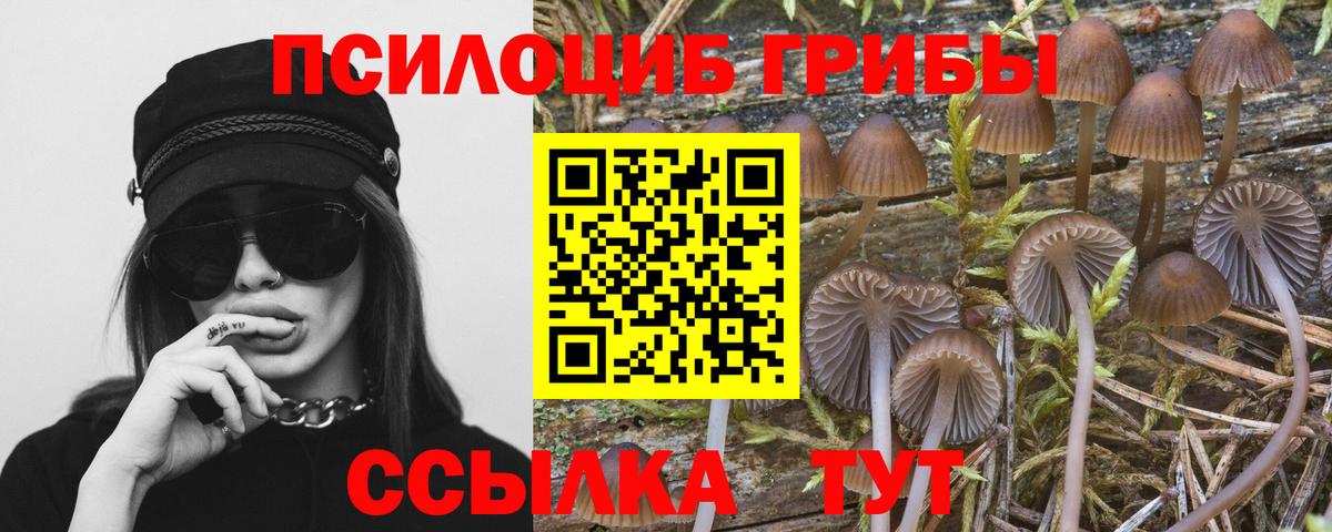 Ярцево  Галлюциногенные грибы GOLDEN TEACHER  Вход с VPN 