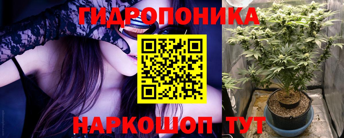 Бошки Шишки SATIVA & INDICA  Бошки Шишки THC 21%  Ярцево  Конопля ГИДРОПОН  Канабис AK-47  Вход с VPN 